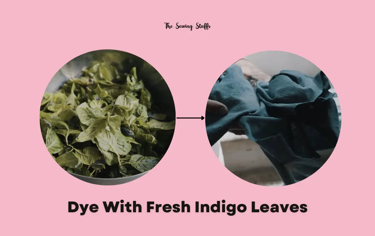 How to Dye With Fresh Indigo Leaves